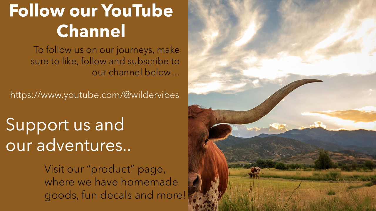 Follow our YouTube Channel https://www.youtube.com/@wildervibes

